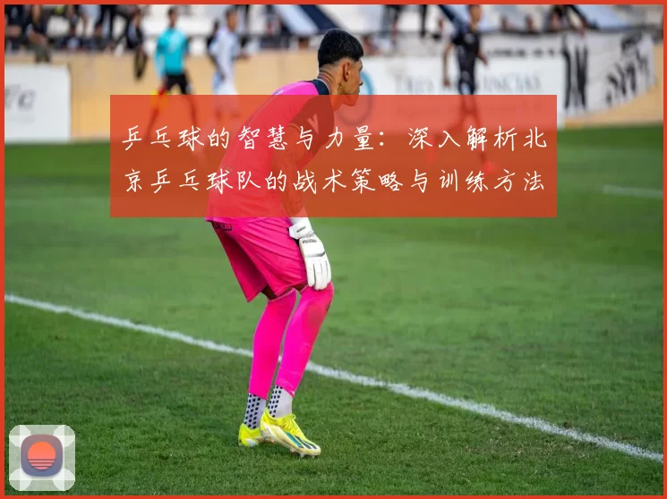 乒乓球的智慧与力量：深入解析北京乒乓球队的战术策略与训练方法