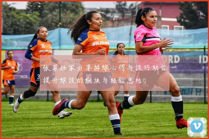 张芳独家分享排球心得与技巧助你提升球技的秘诀与经验总结