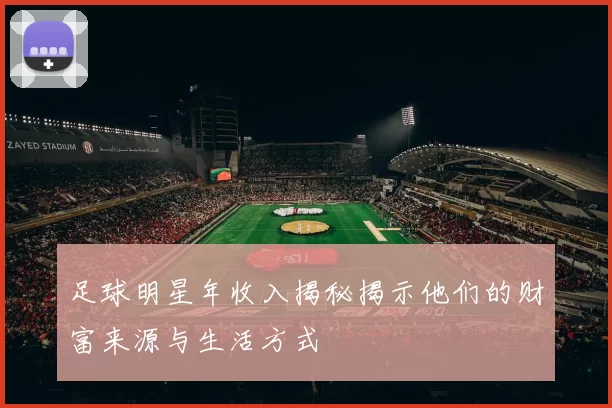 足球明星年收入揭秘揭示他们的财富来源与生活方式