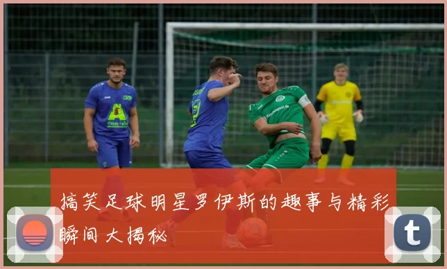 搞笑足球明星罗伊斯的趣事与精彩瞬间大揭秘