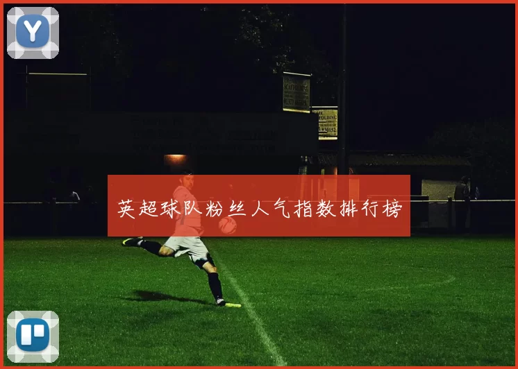 英超球队粉丝人气指数排行榜