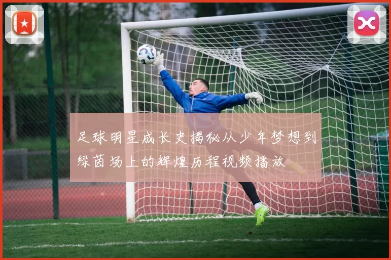 足球明星成长史揭秘从少年梦想到绿茵场上的辉煌历程视频播放