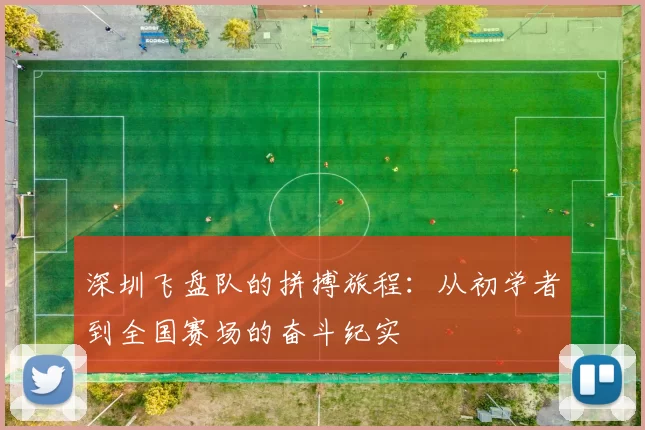 深圳飞盘队的拼搏旅程：从初学者到全国赛场的奋斗纪实