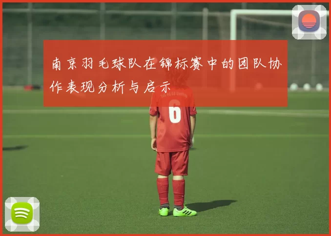 南京羽毛球队在锦标赛中的团队协作表现分析与启示