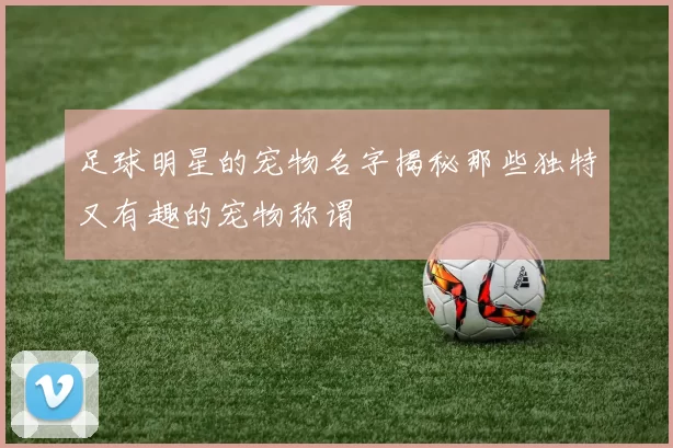 足球明星的宠物名字揭秘那些独特又有趣的宠物称谓